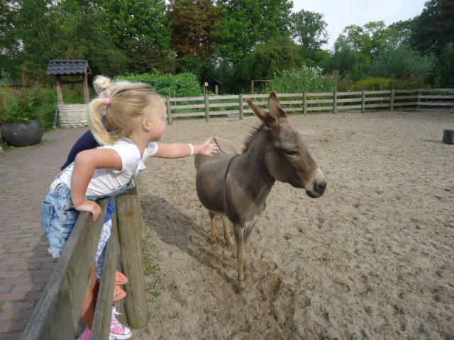 Kinderboerderij